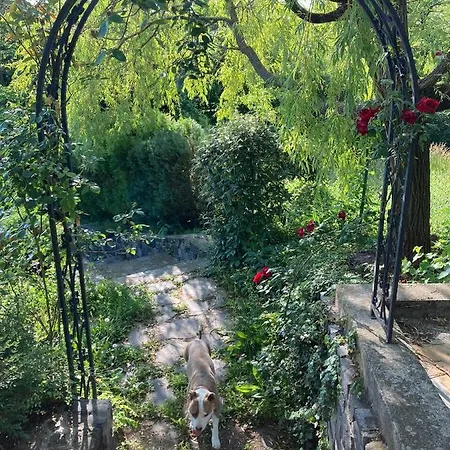 Patrick'S Hause Δωμάτια σε οικογενειακή κατοικία